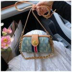 کیف طرح گوچی وارداتی 249 - Image 6